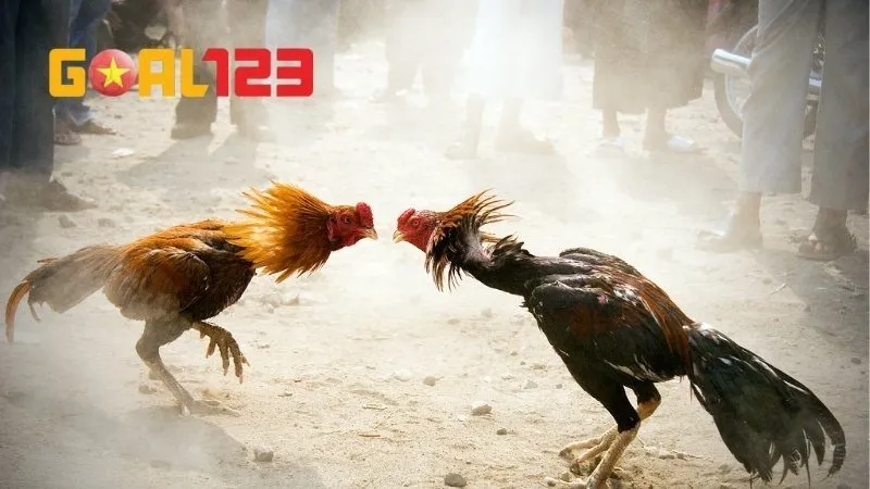 Điểm danh những tựa game đấu chiến kê kịch tính