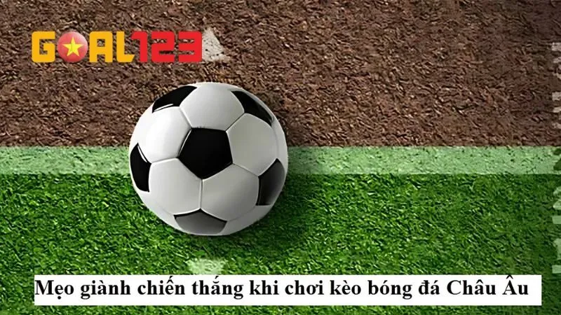 Kinh nghiệm vào cược hiệu quả